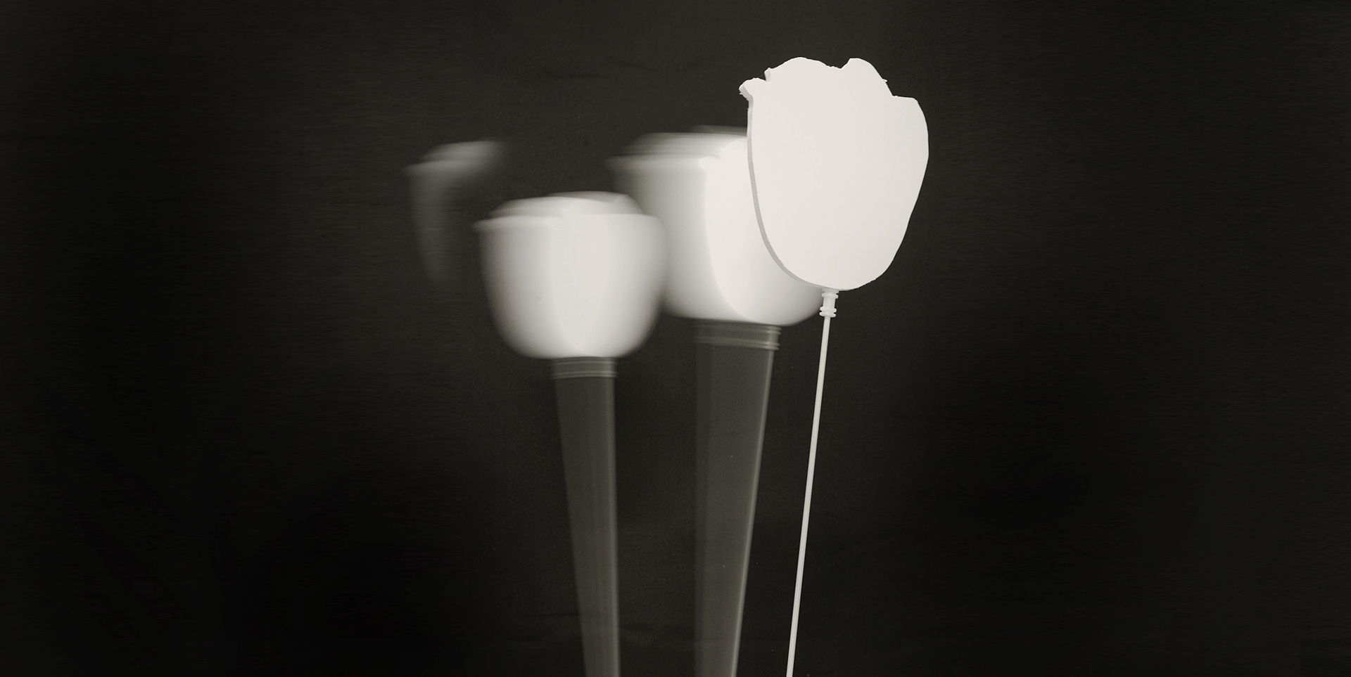 oscillatore-verticale-da-esterno brand support