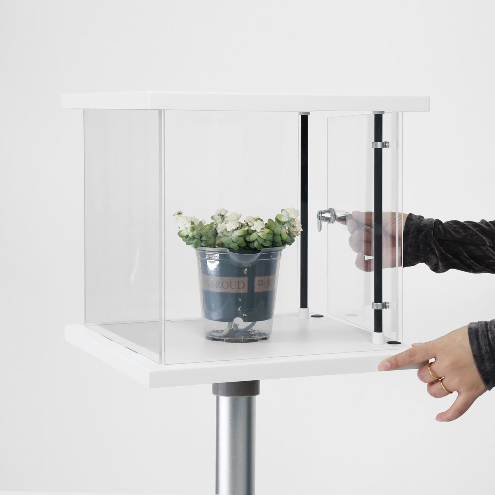 PARTICOLARE-VETRAMINI compact display case
